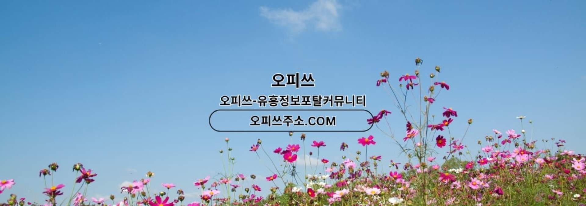 대전1인샵 출장마사지안내.COM 대전 1인샵