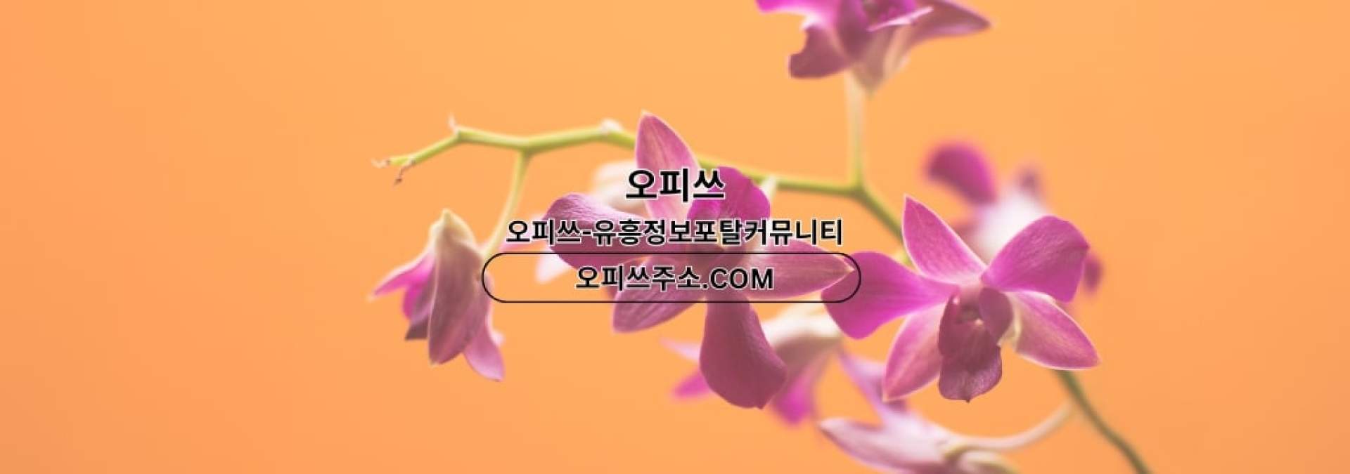 부산1인샵 오피쓰.COM 부산 1인샵