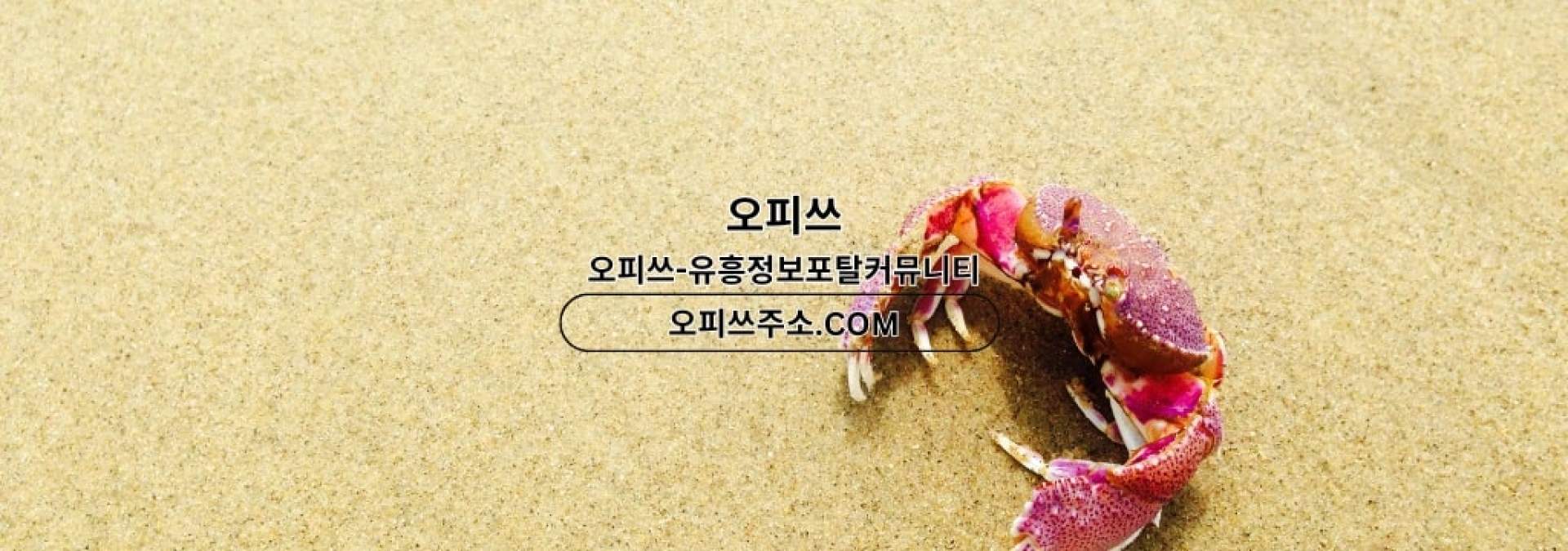 안산안마 출장안마사이트.COM 안산 안마