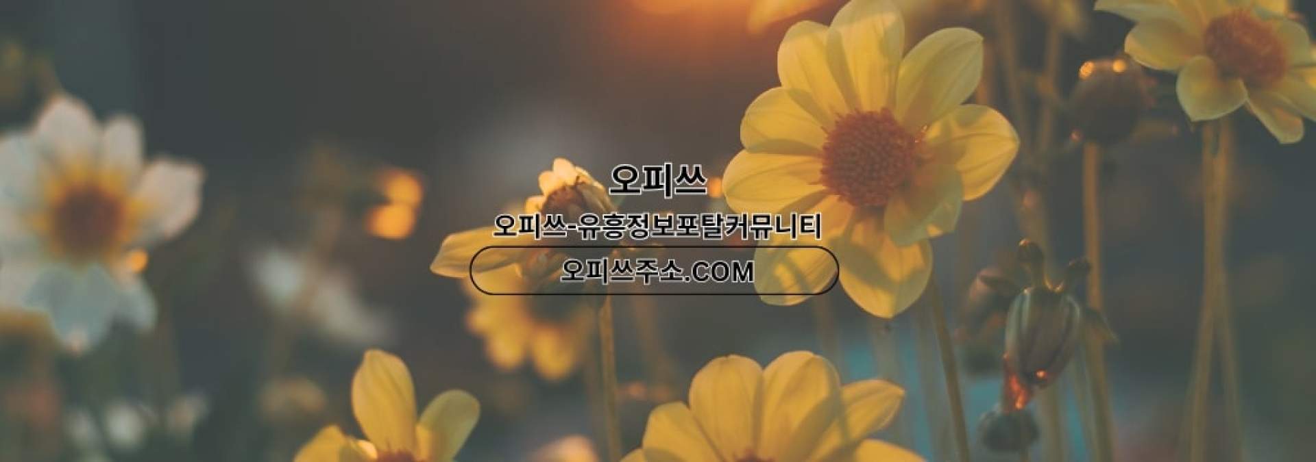 광주안마 오피쓰.COM 광주 안마