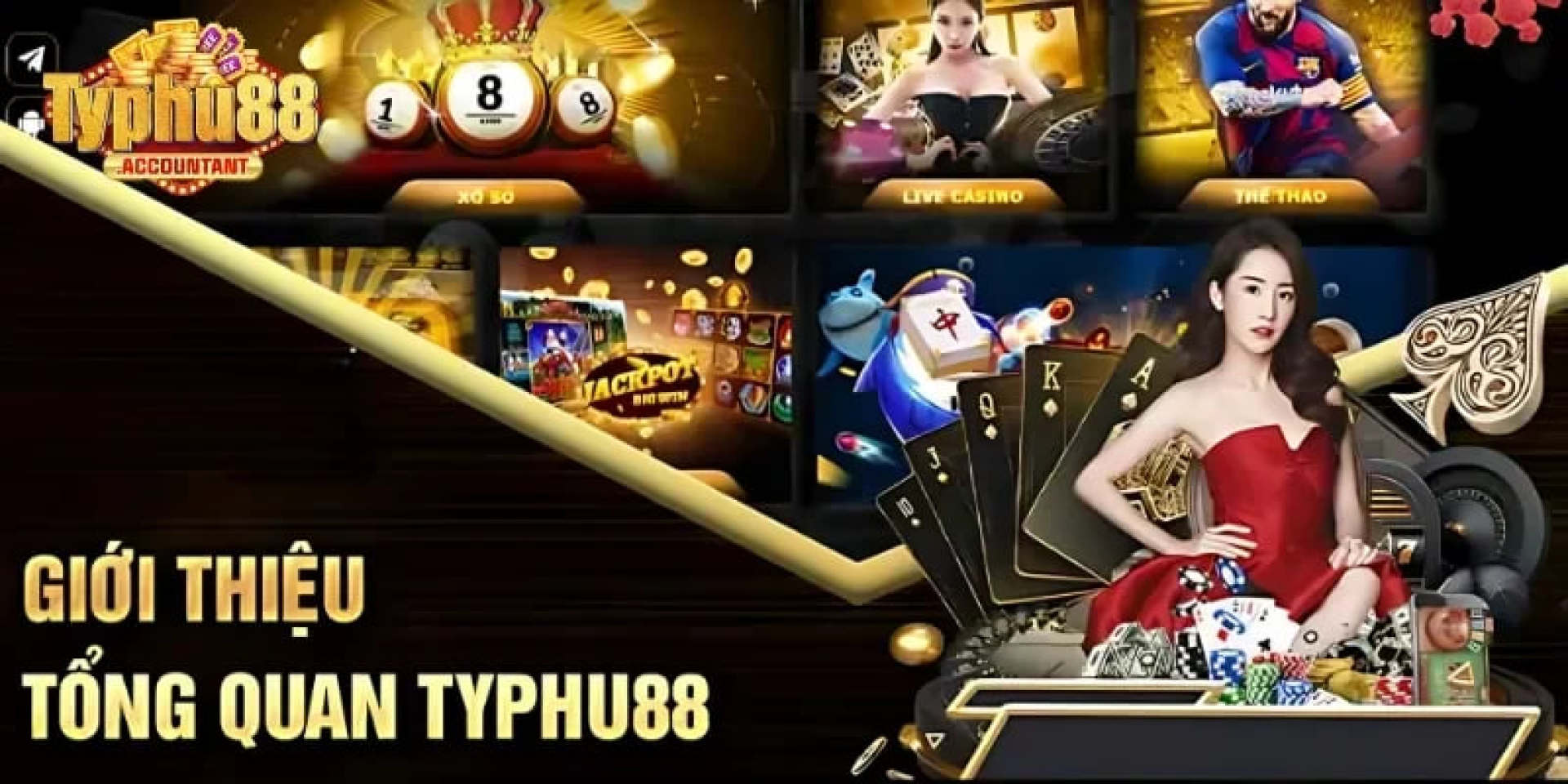 typhu88accountant