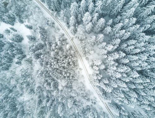 Best Road in the winter