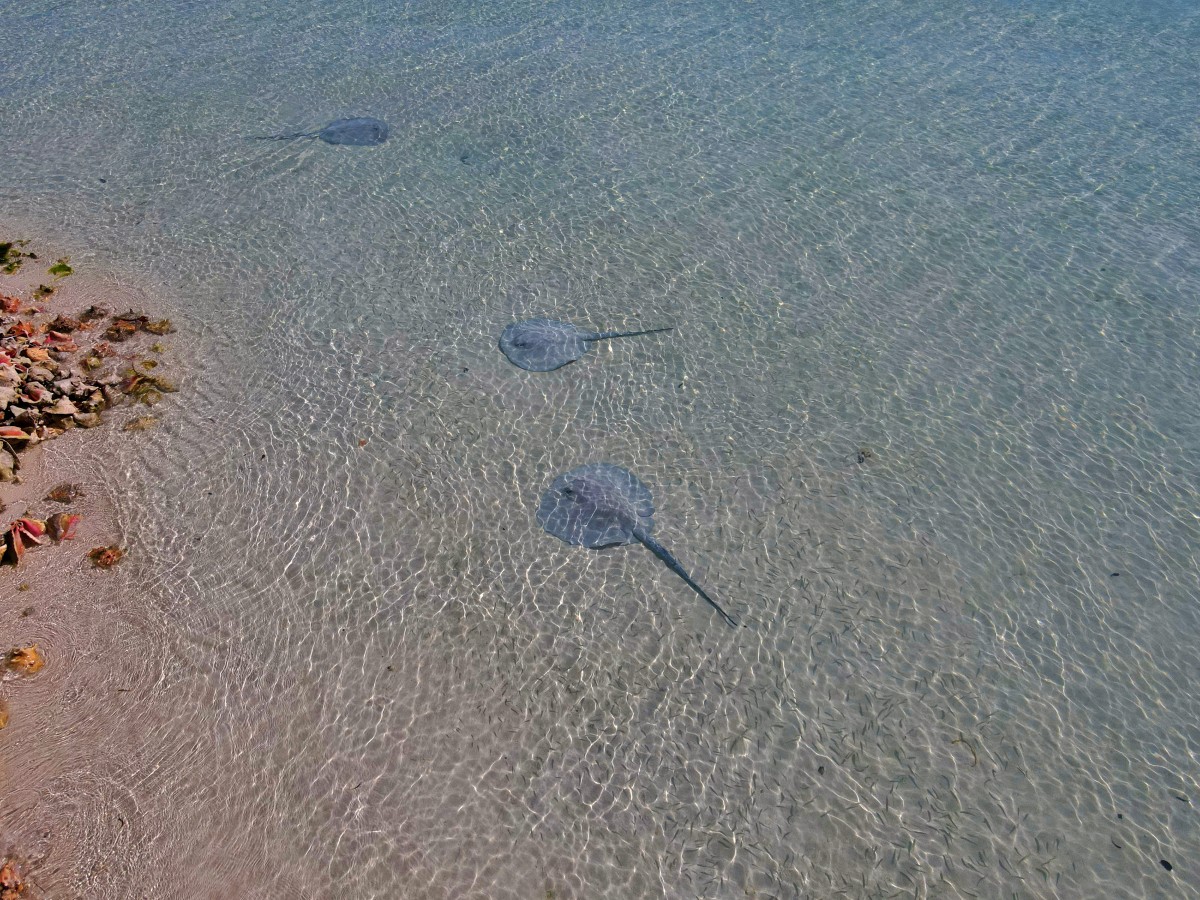 The world's biggest drone photo and video sharing platform | SkyPixel.com