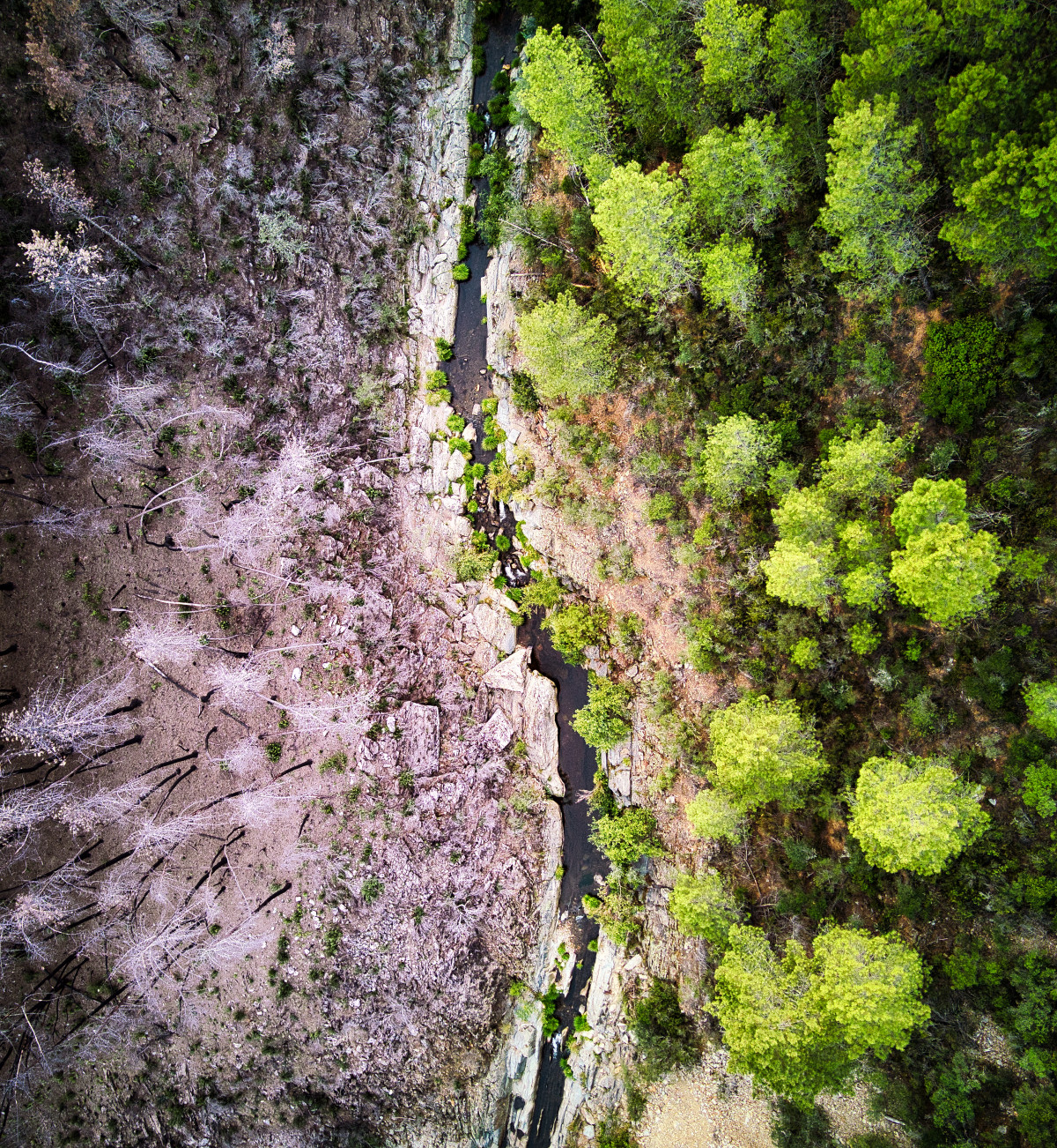 The world's biggest drone photo and video sharing platform | SkyPixel.com