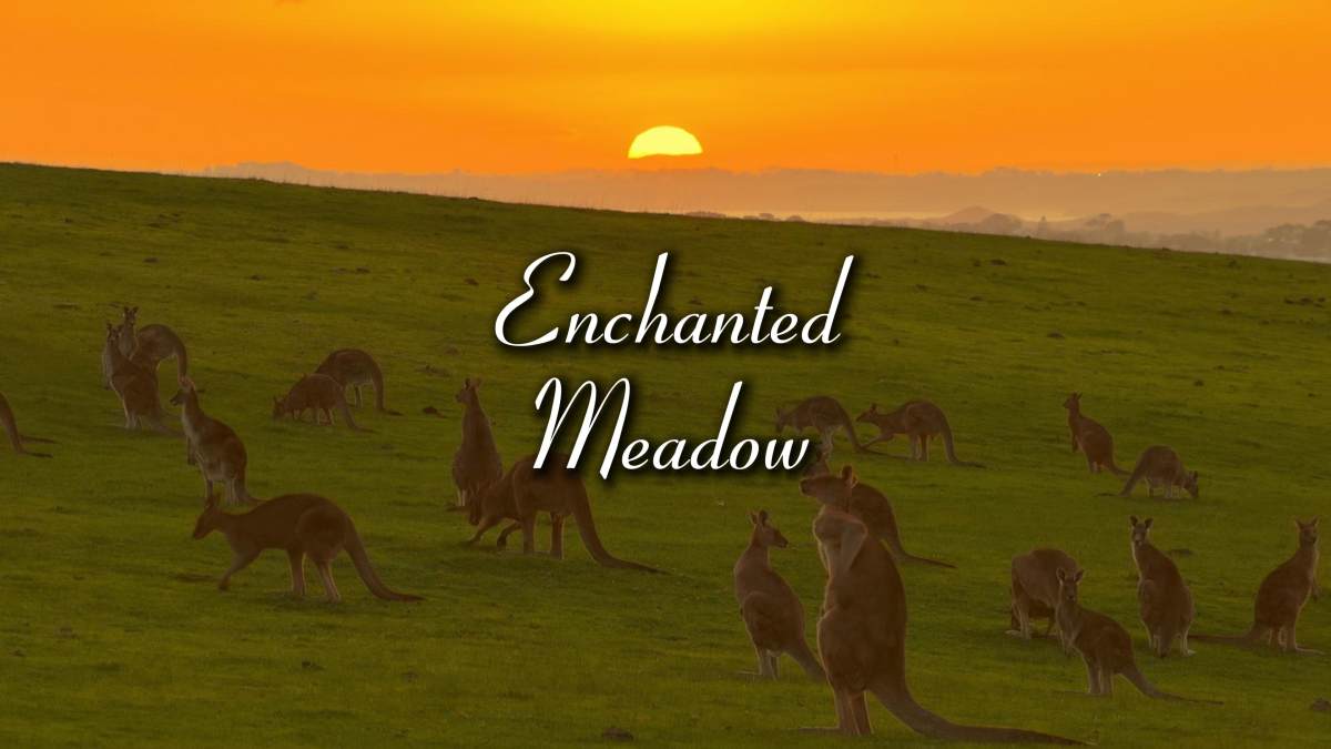 Twilight Serenade of the Grasslands