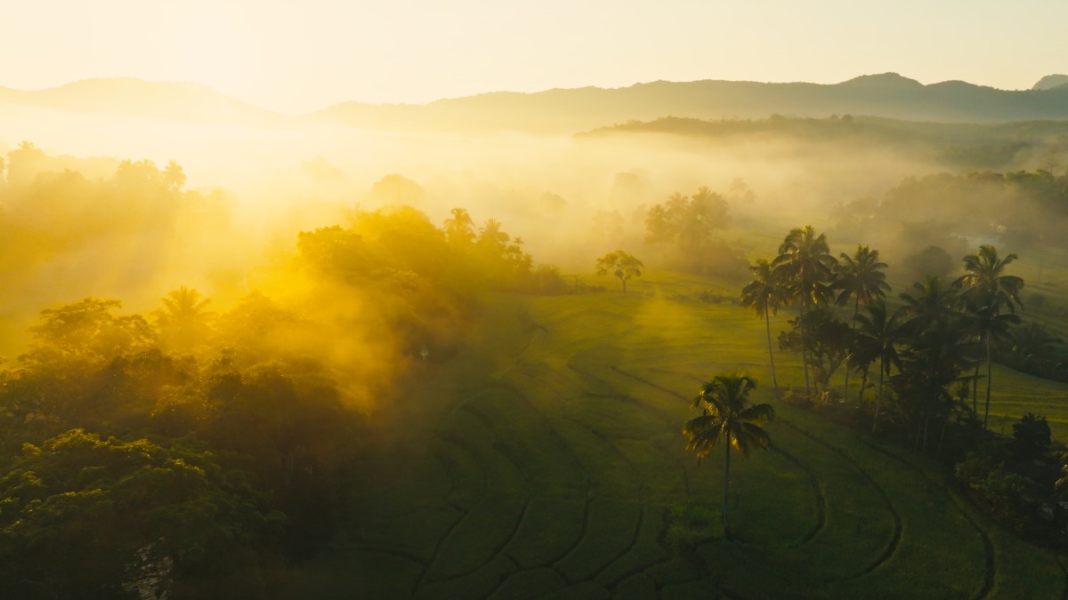 Golden Mornings in the Heart of Rural Sri Lanka
