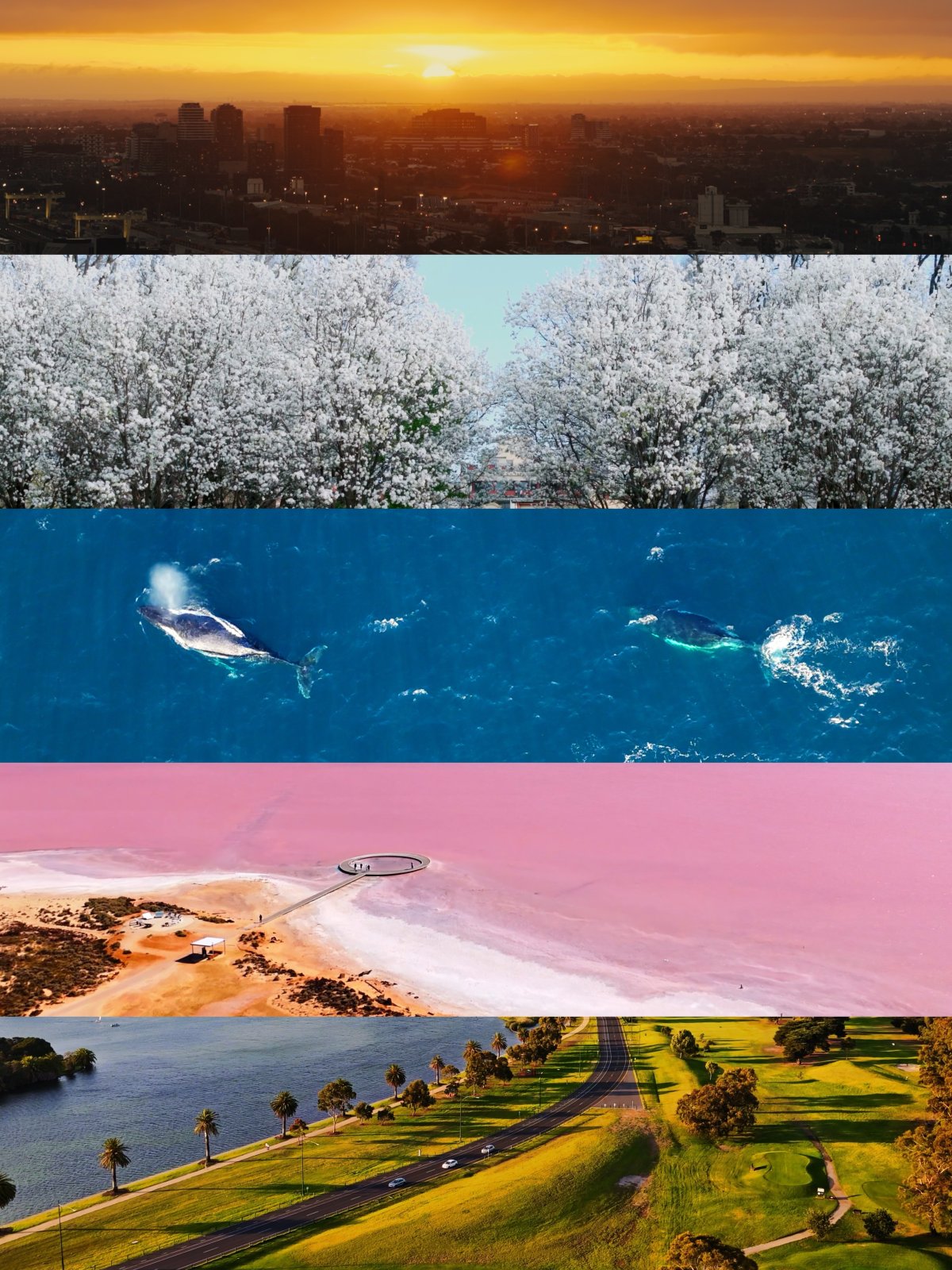 爱惨了墨尔本的四季色彩